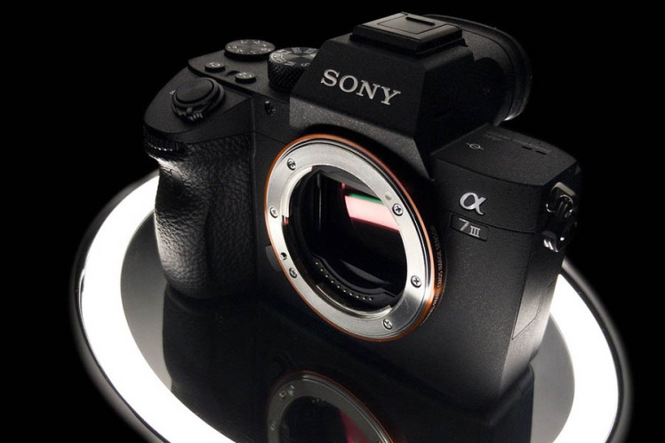 تعمیر اسلات A7 III؛ بررسی تخصصی خرابی کارتخوان دوربین سونی 
