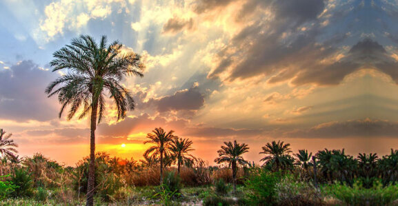 نمایندگی دوربین سونی در آبادان ؛ راهنمای تعمیرات حرفه‌ای و پشتیبانی